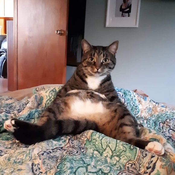 Meet your Posher, Melodie - Picture 7 of 7